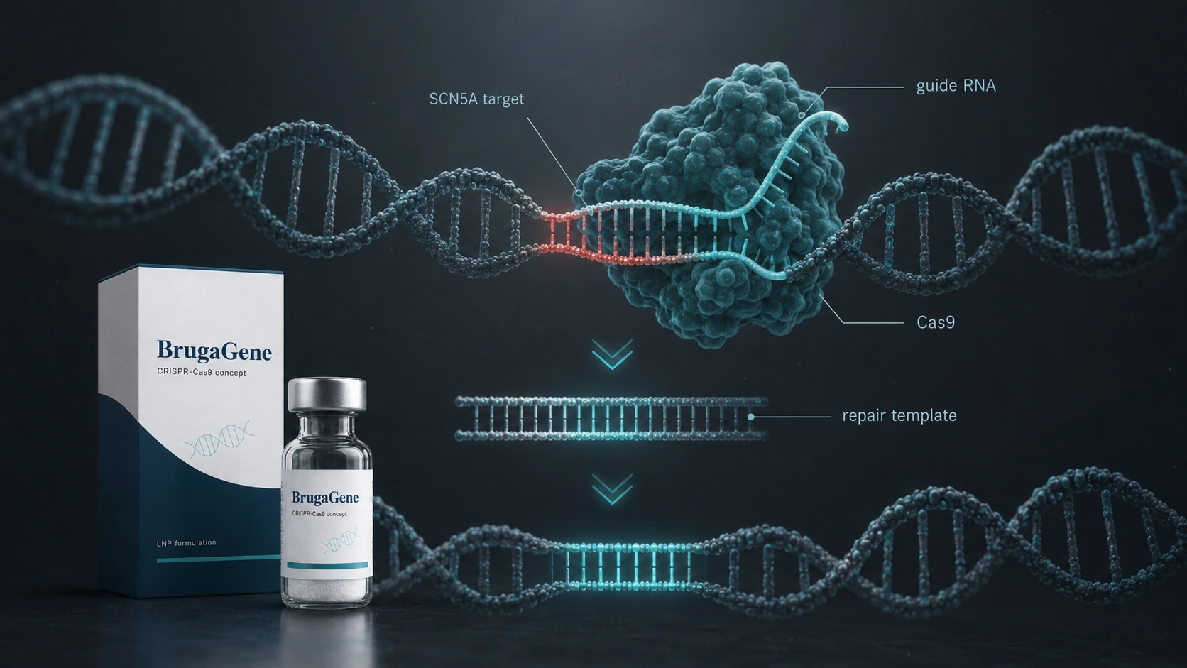 CRISPR-Cas9 correction concept