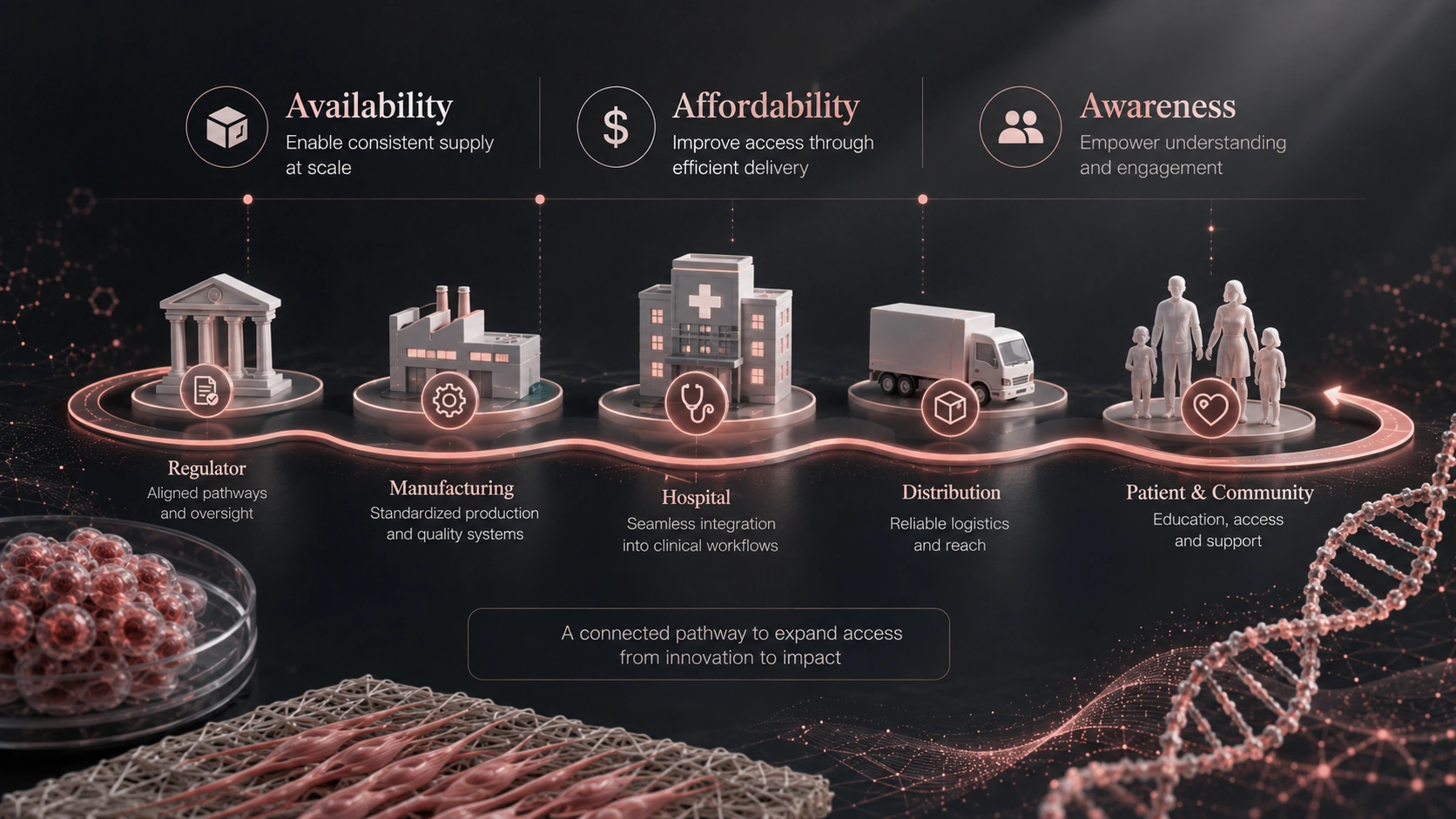 Access and implementation roadmap